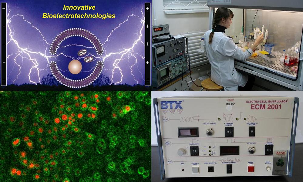 Innovative Bioelectrotechnologies